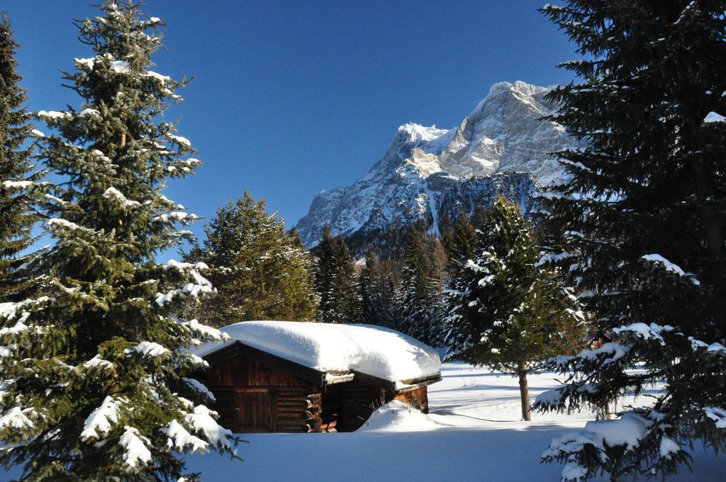 Hotel Alpen Residence Ервалд Екстериор снимка